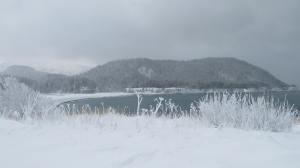 Looking towards the Outer Coast from Russian Point in Nanwalek 